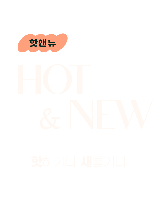 핫앤뉴 HOT&NEW 핫하거나 새롭거나