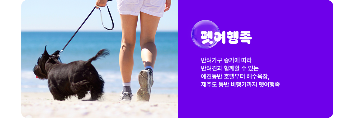 펫여행족 : 반려가구 증가에 따라 반려견과 함께할 수 있는 애견동반 호텔부터 해수욕장, 제주도 동반 비행기까지 펫여행족! 