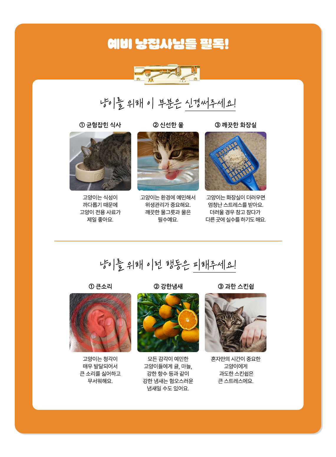 예비 냥집사님들 필독! 냥이를 위해 이 부분은 신경써주세요! 1.균형잡힌 식사: 고양이는 식성이 까다롭기 때문에 고양이 전용 사료가 제일 좋아요. 2. 신선한 물: 고양이는 환경에 예민해서 위생관리가 중요해요. 깨끗한 물그릇과 물은 필수예요. 3. 깨끗한 화장실 : 고양이는 화장실이 더러우면 엄청난 스트레스를 받아요. 더러울 경우 참고 참다가 다른 곳에 실수를 하기도 해요.냥이를 위해 이런 행동은 피해주세요! 1.큰소리 : 고양이는 청각이 매우 발달되어서 큰 소리를 싫어하고 무서워해요 2. 강한냄새 : 모든 감각이 예민한 공야이들에게 귤, 마늘, 강한 향수 등과 같이 강한 냄새는 혐오스러운 냄새일 수도 있어요. 3. 과한 스킨쉽 : 혼자만의 시간이 중요한 고양이에게 과도한 스킨쉽은 큰 스트레스에요.